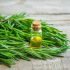 Rosemary-Oil-for-hair-mBanner Rosemary-Oil-for-hair-mBanner